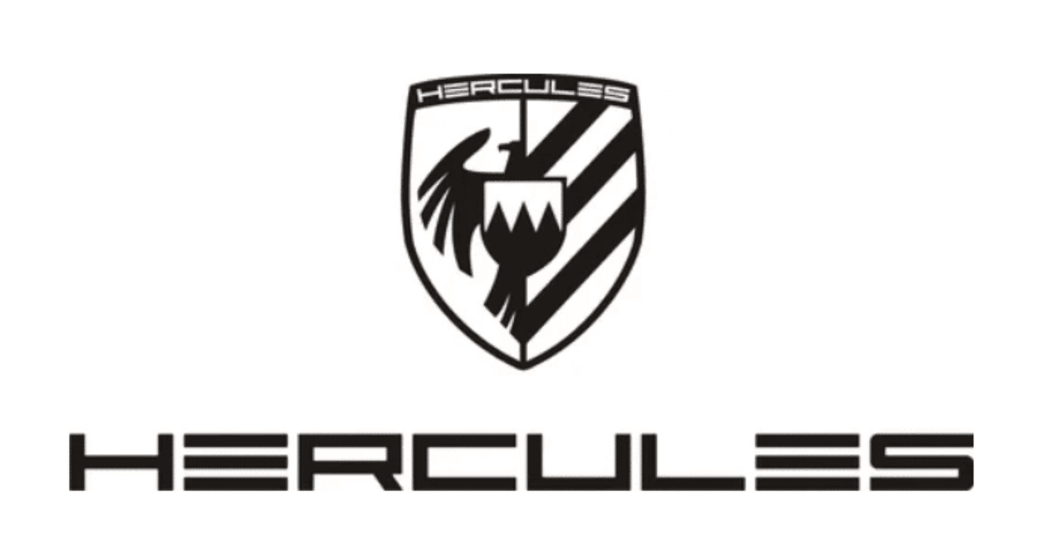 E-Bike HERCULES Futura Fold I-10 Carbono - 3